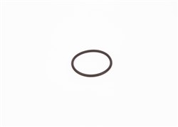 Rubber Ring F 00R 0P0 166_2