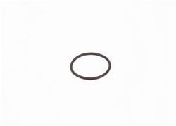 Rubber Ring F 00R 0P0 166_4