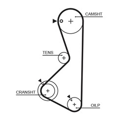 Timing belt GAT1075RM_0