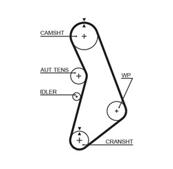 Timing belt GATT306RB_1