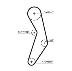 Timing belt GAT5503XS_1