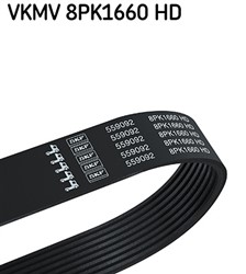 V-Ribbed Belt VKMV 8PK1660 HD_0