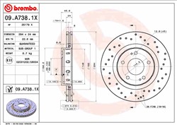 Bremžu diski BREMBO 09.A738.1X