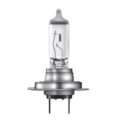 Light bulb H7 Standard (1 pcs) 12V 55W_3