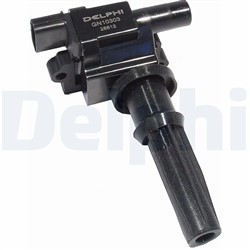 Ignition Coil GN10303-12B1_0