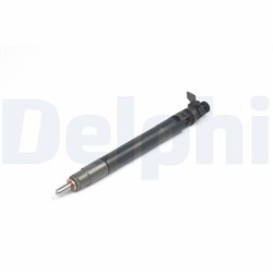 Injector DELR00101DP