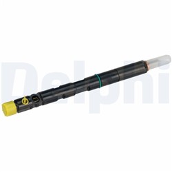 Injector DELR05001D