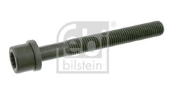 Cylinder head bolt FE06666_2