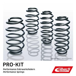 Lowering spring (25/25 mm) Pro-Kit (4 pcs) E10-85-044-03-22