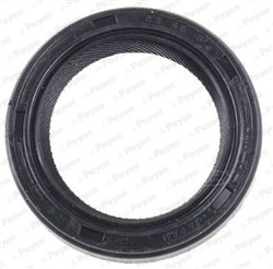 Shaft Seal, differential NK117