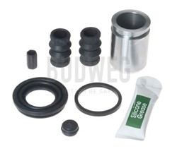 Disc brake caliper repair kit BUD209050_1