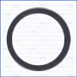 Seal Ring, injector AJU01460000_1