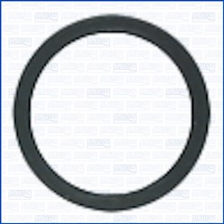 Seal Ring, injector AJU01460800_1