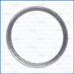 Seal Ring, exhaust pipe AJU19006800_0
