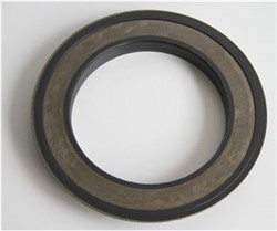 Seal Ring CO12017196B