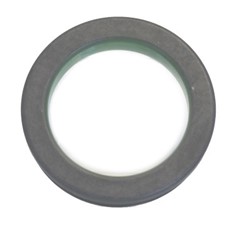 Seal Ring, steering knuckle CO12019230B_2