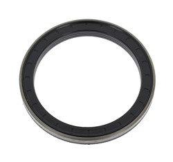 Seal Ring CO12017098B_1