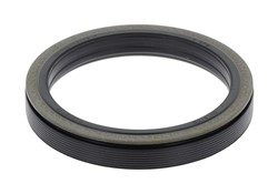 Seal Ring, steering knuckle CO12019145B_0