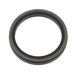 Seal Ring, steering knuckle CO12019145B_1