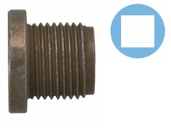 Screw Plug, oil sump CO220102S