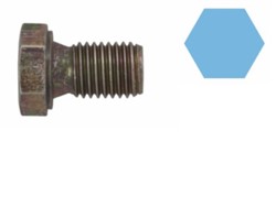 Screw Plug, oil sump CO220053H