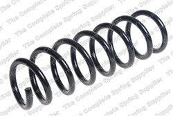 Coil spring LS4008500