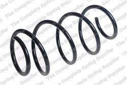Coil spring LS4037290