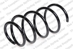 Coil spring LS4058707