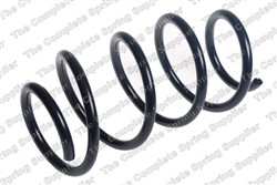 Coil spring LS4062105