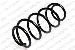 Coil spring LS4063449