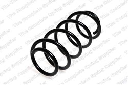 Coil spring LS4063498_1