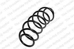 Coil spring LS4066758