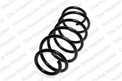 Coil spring LS4066761