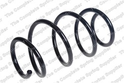 Coil spring LS4066849