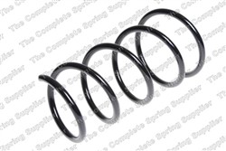 Coil spring LS4072981