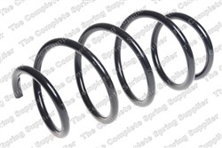 Coil spring LS4072987