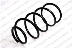 Coil spring LS4075730_1