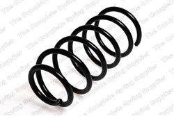 Coil spring LS4082905_1