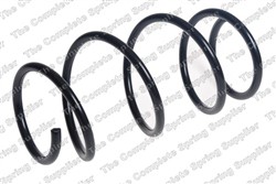 Coil spring LS4092650