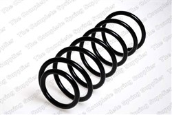 Coil spring LS4095001