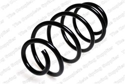 Coil spring LS4095030_1