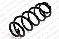 Coil spring LS4095037_1