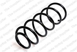 Coil spring LS4095039