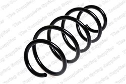 Coil spring LS4095049_1