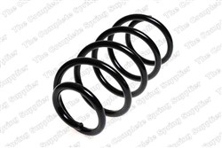 Coil spring LS4095070