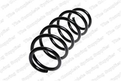 Coil spring LS4095074_1