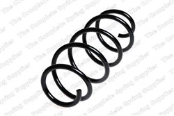 Coil spring LS4095079_1
