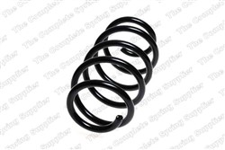 Coil spring LS4095083
