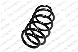 Coil spring LS4095085