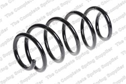 Coil spring LS4095088_0